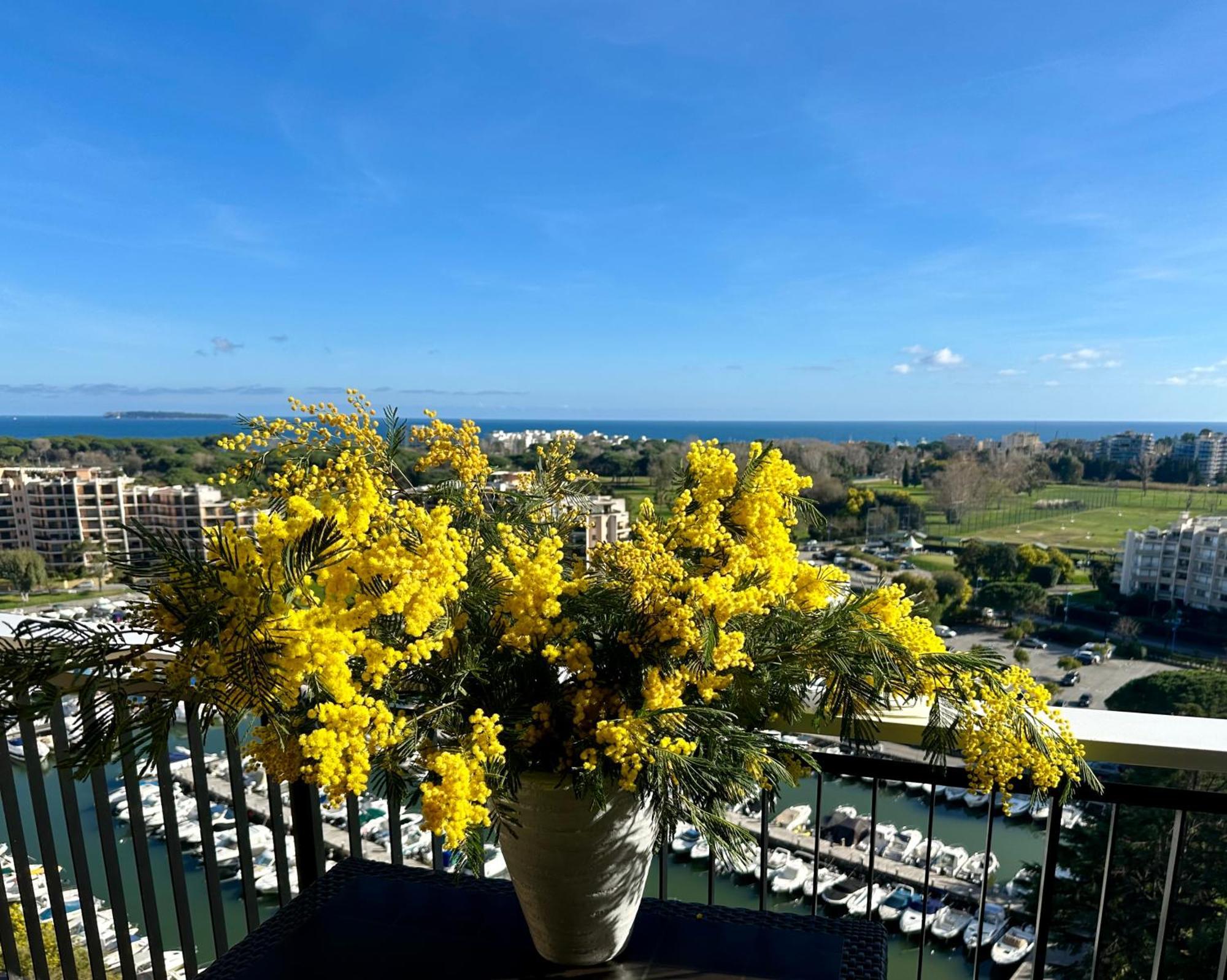 Cannes Marina Appart Hotel Mandelieu エクステリア 写真
